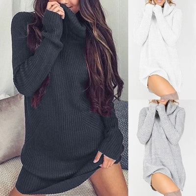 NEW Winter sweaters women turtlene shirt knit dress