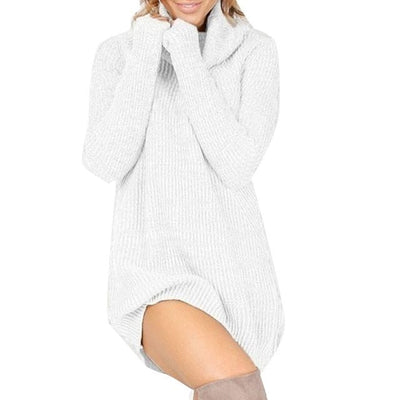 NEW Winter sweaters women turtlene shirt knit dress