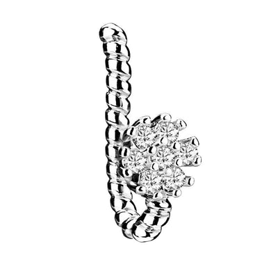 Twisted nose ring and nose nail